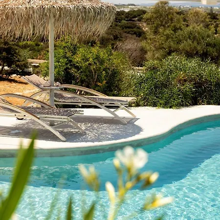 Villa Aegean Seashell In Paros Pounda